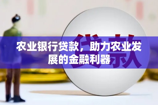 宁海农业银行贷款，助力农业发展的金融利器